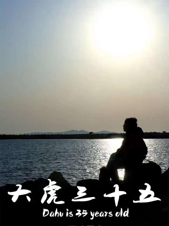 大虎三十五(全集)