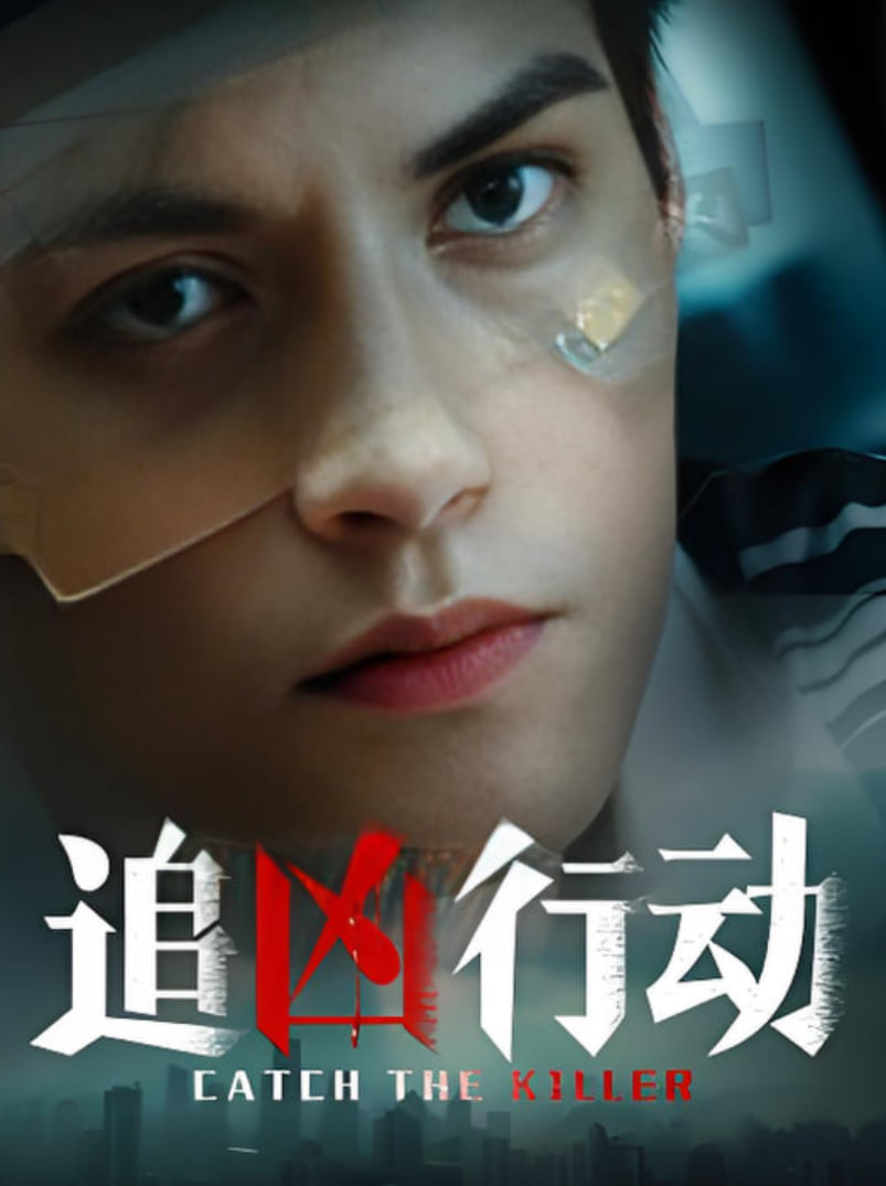 追凶行动(全集)