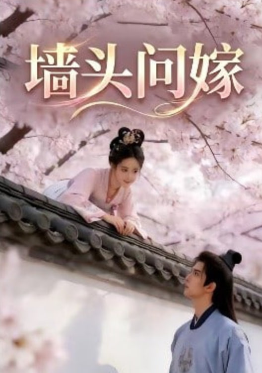 墙头问嫁(全集)