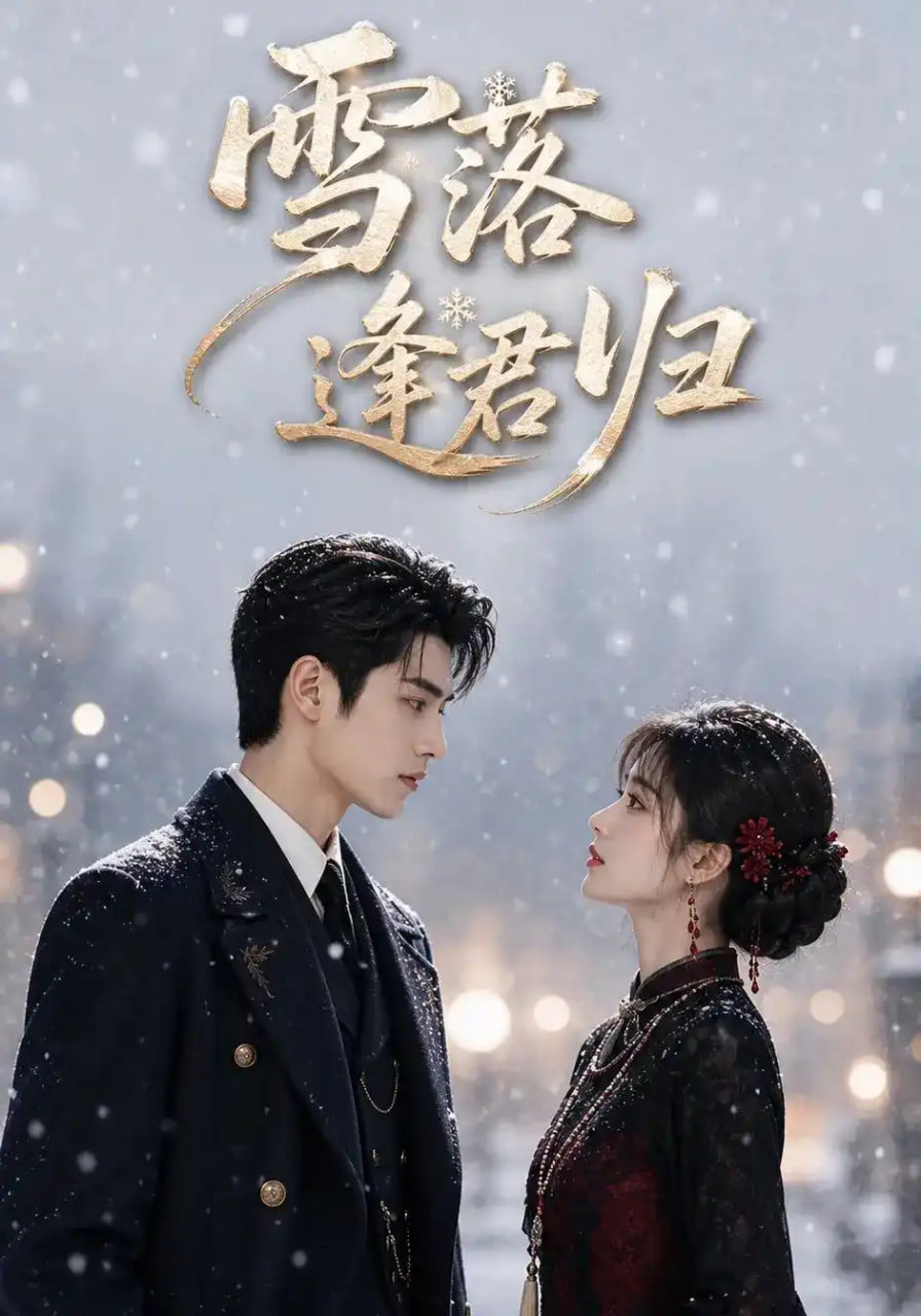 雪落逢君归(全集)