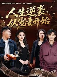 人生逆袭，从宠妻开始(全集)