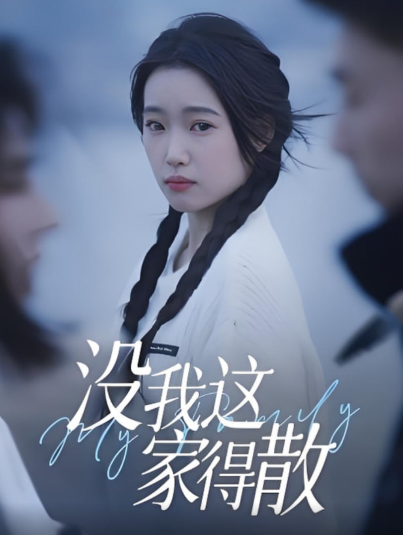 没我这家得散(全集)