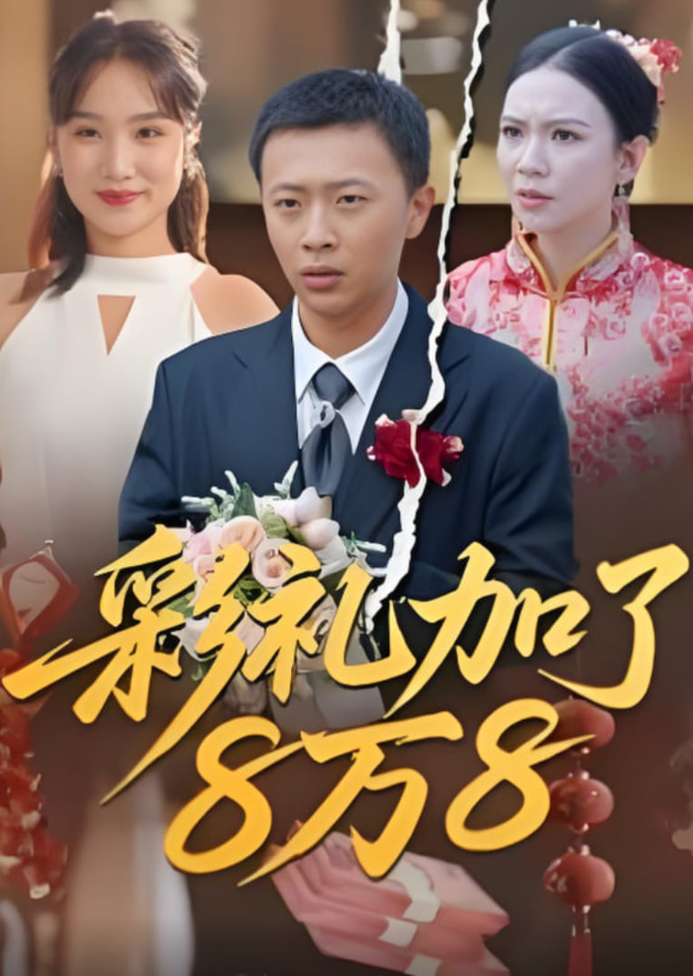 彩礼加了8万8(全集)